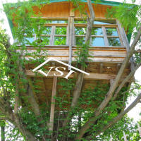 alachigh | kolbe | kolbeh | kolbe sazan | kolbe derakhti | کلبه سازان | کلبه درختی |نماسازان | آلاچیق |فضای سبز |کلبه های جنگلی | کلبه های فانتزی | حصارهای چوبی | کلبه | کلبه های در حال ساخت