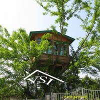 alachigh | kolbe | kolbeh | kolbe sazan | kolbe derakhti | کلبه سازان | کلبه درختی |نماسازان | آلاچیق |فضای سبز |کلبه های جنگلی | کلبه های فانتزی | حصارهای چوبی | کلبه | کلبه های در حال ساخت